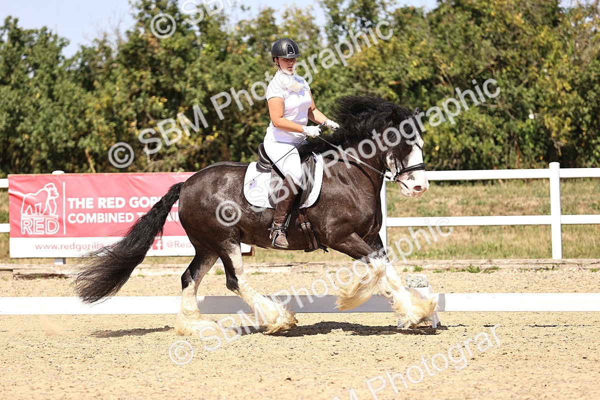 SBM_012285 - Novice 5 - 13.05-14.36