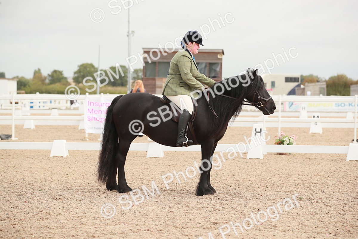 SBM_02560 - Class 30 - Intro 1