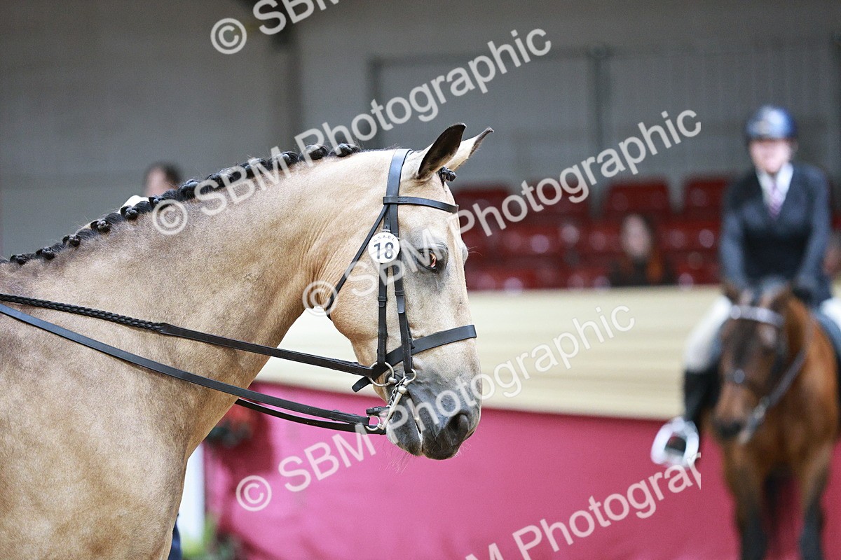 SBM_03433 - Class 6A Area Ridden Pre-Vet
