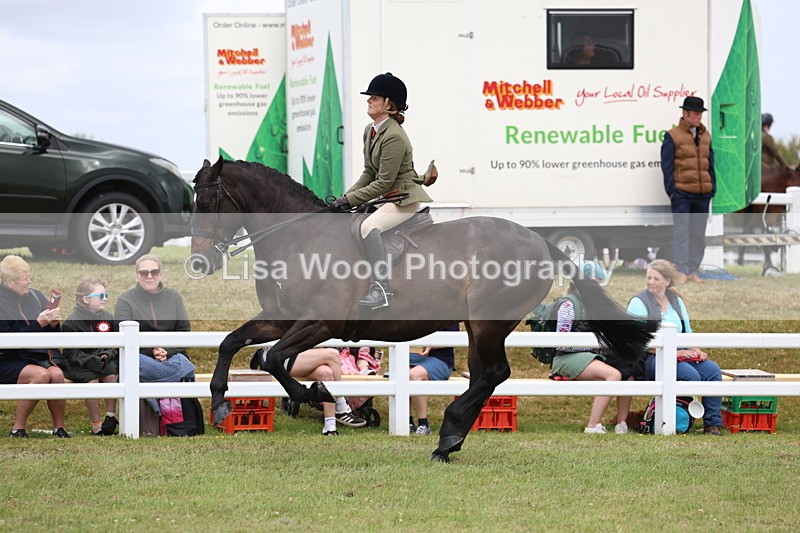 3E7A1567 - Class 9: Open Hunter