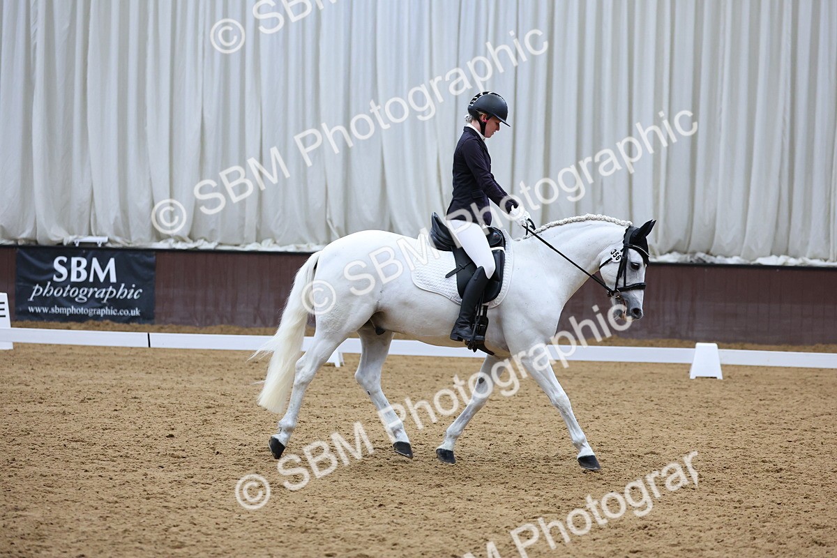 SBM_003995 - Elementary 1