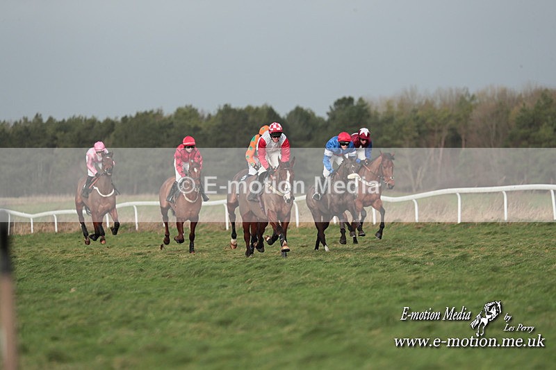 PtP 311223 664 - Larkhill Racing Club Point-to-Point 31/12/23