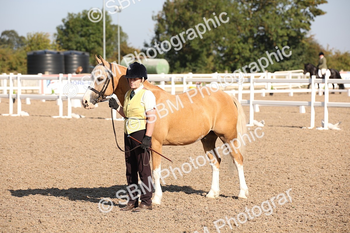 SBM_01484 - Class 15 IH Coloured