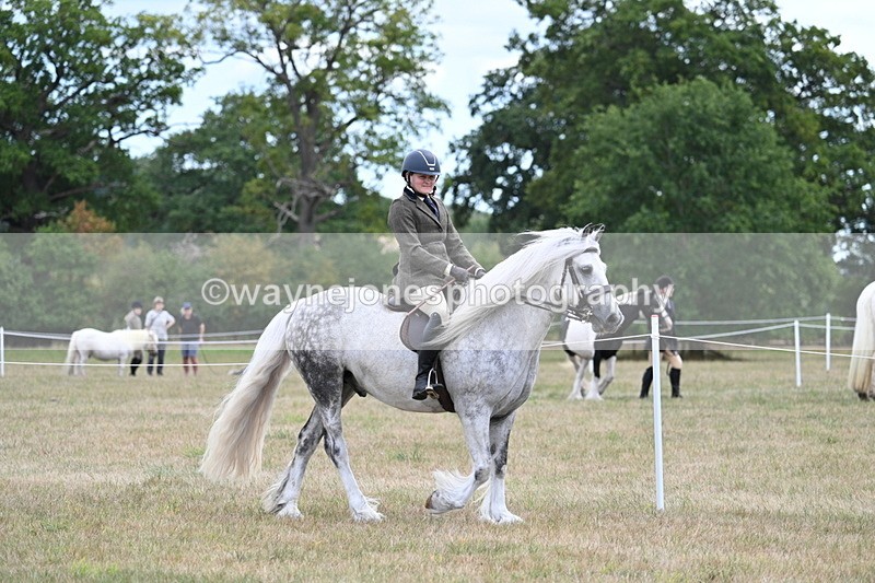 WJ7_4670 - Class 12 Ridden Cob