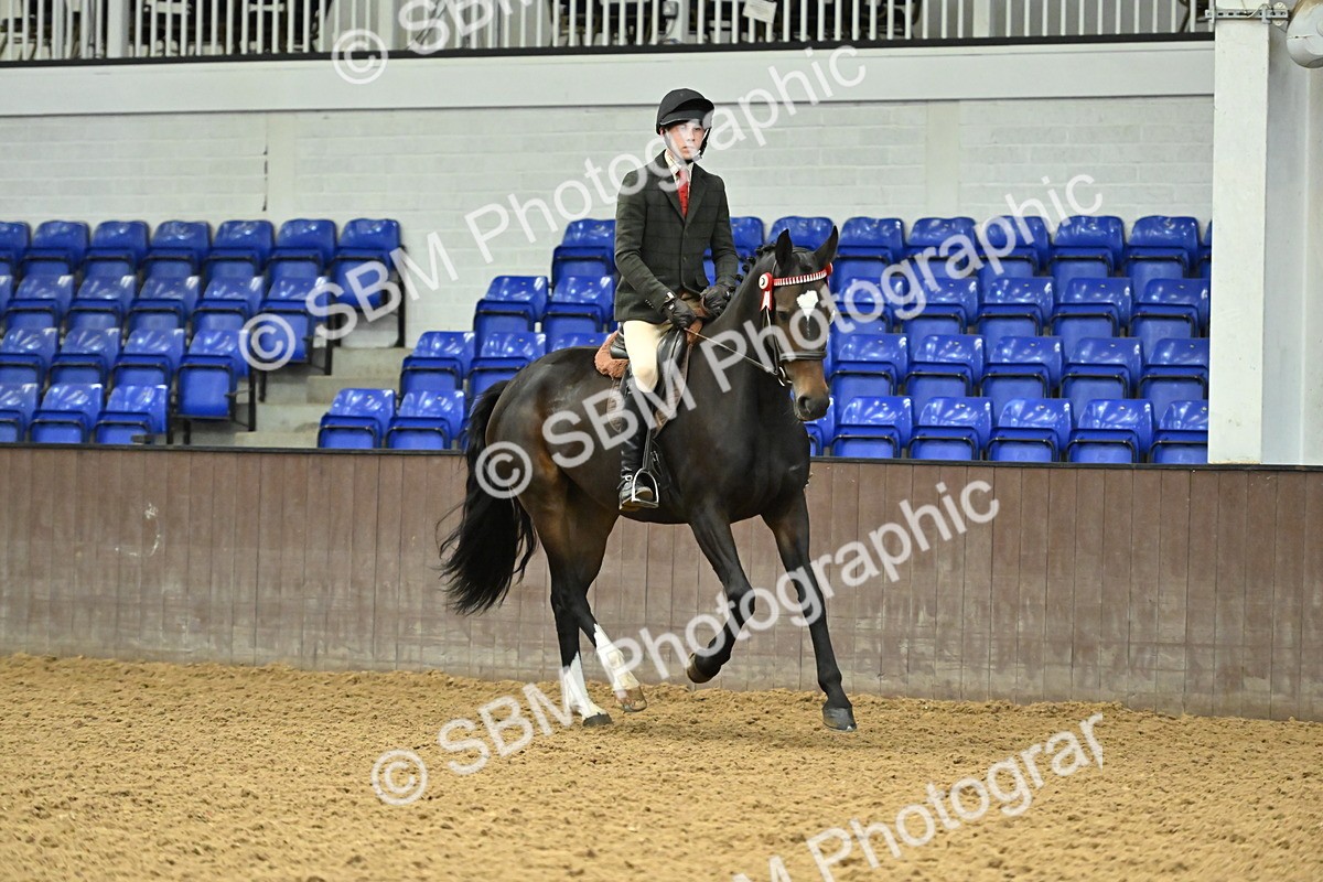 SBM_002071 - Class 23 - BSHA Ridden Show Hunter