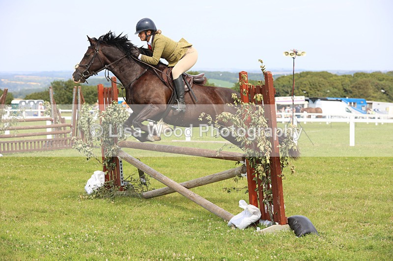 JPP_4030 - Class 24: Working Hunter 90cm