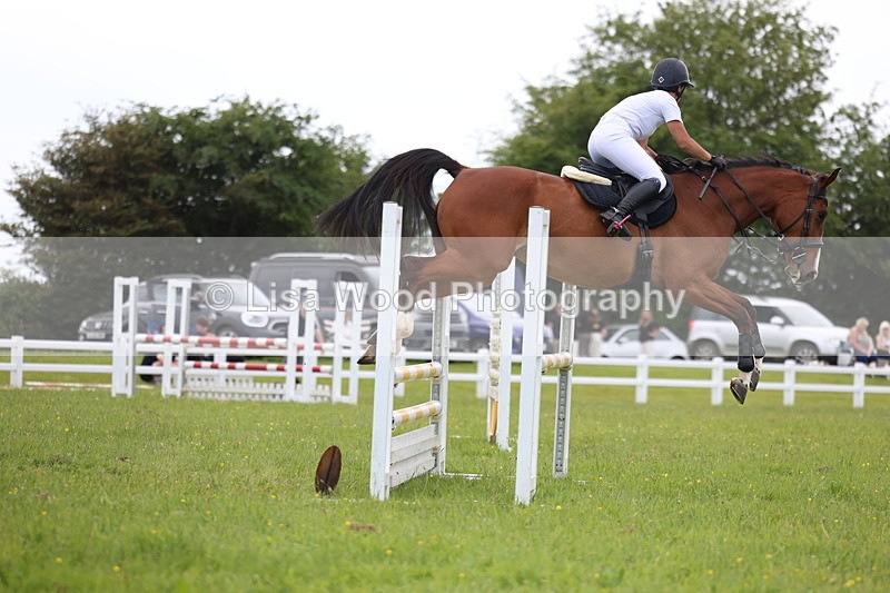 3E7A1790 - Class 13: Senior British Novice/90cm open