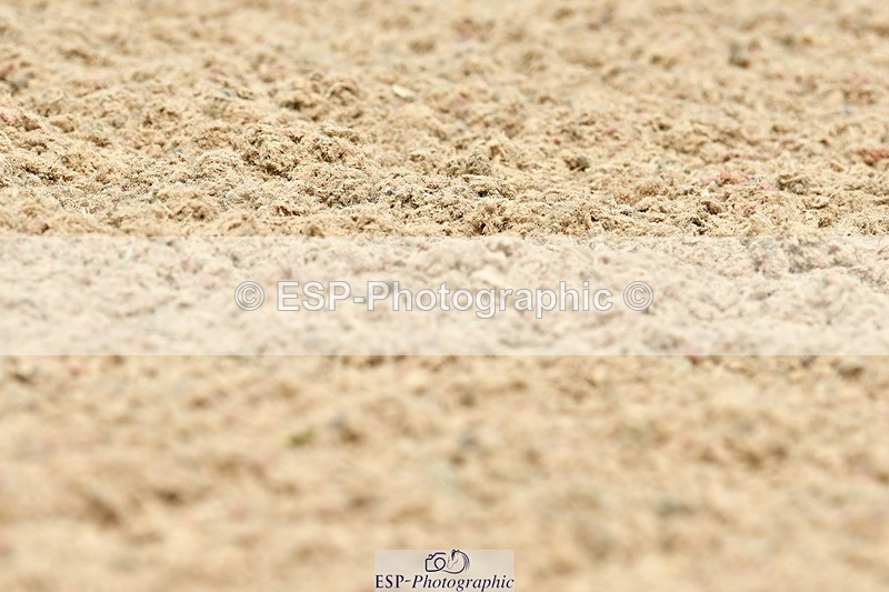 230701A-122418-06074 - Cls 8 Elementary 57