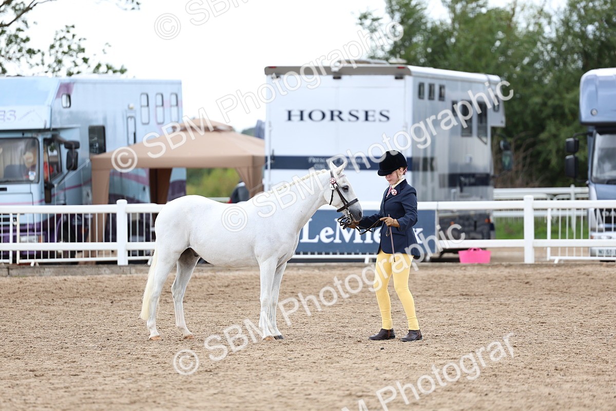 SBM_05031 - Class 27 - IH Competition Horse or Pony