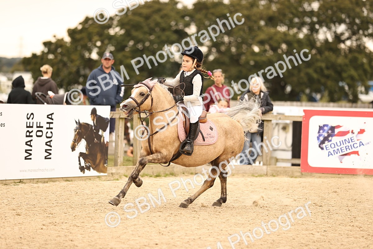 SBM_72704 - J14 - Junior Pony 65cm Championship