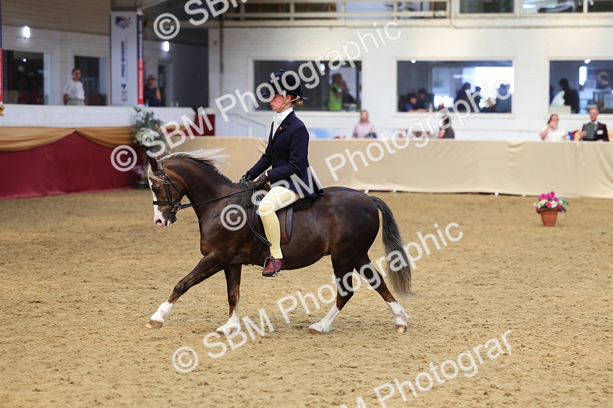 SBM_23539 - Class 904 - Supreme Final Ridden Diamond