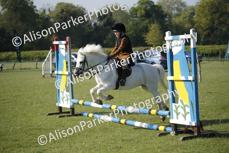20250427-0305 - Class 12 - Rookie Jumping 40cm