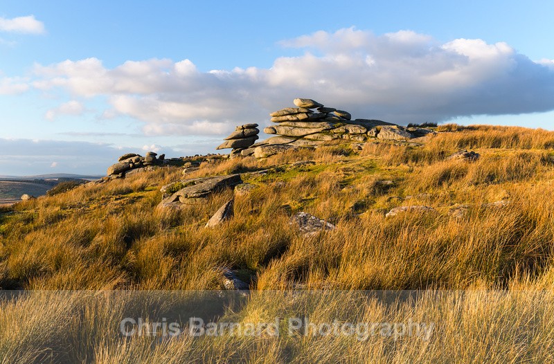  - Bodmin Moor
