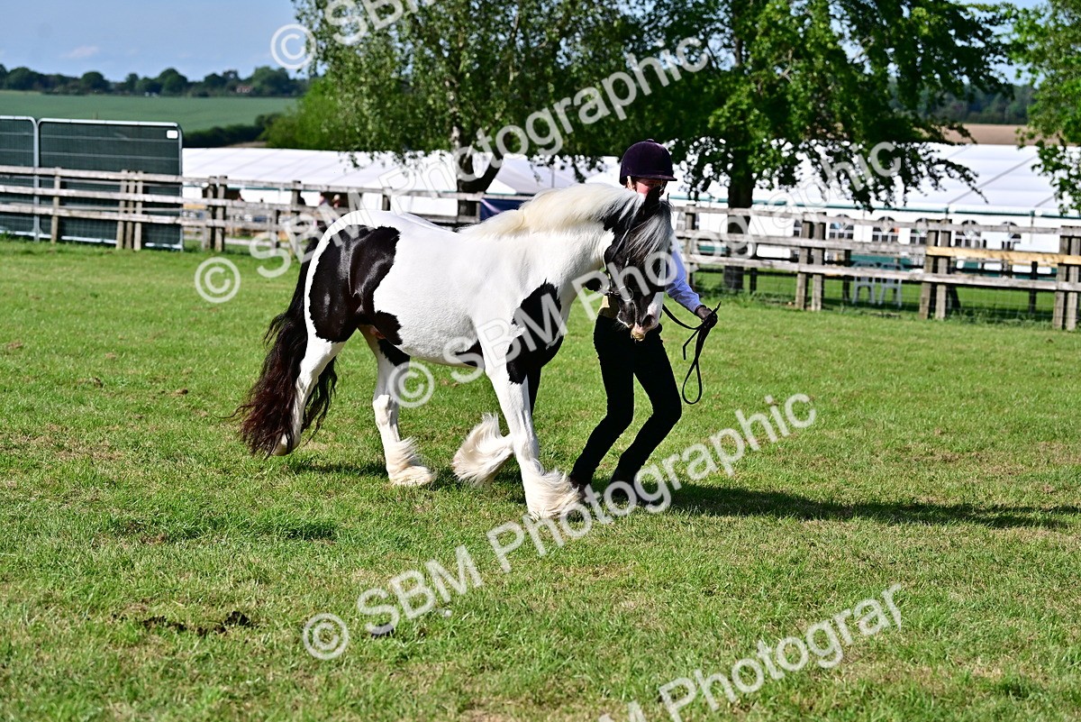 SBM_10109 - Class 63-65 - Traditional Gypsy Cobs In Hand & Ridden
