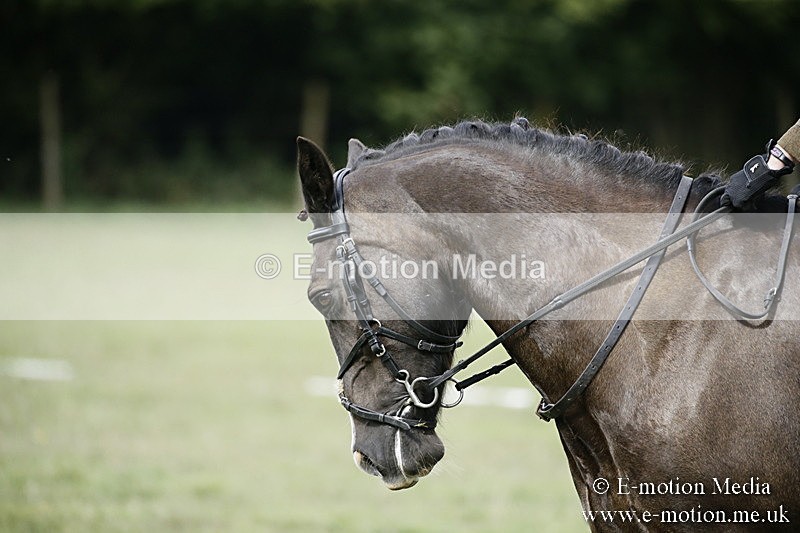 BVR090918 285 - BVRC Dressage and Show Jumping 09/09/18