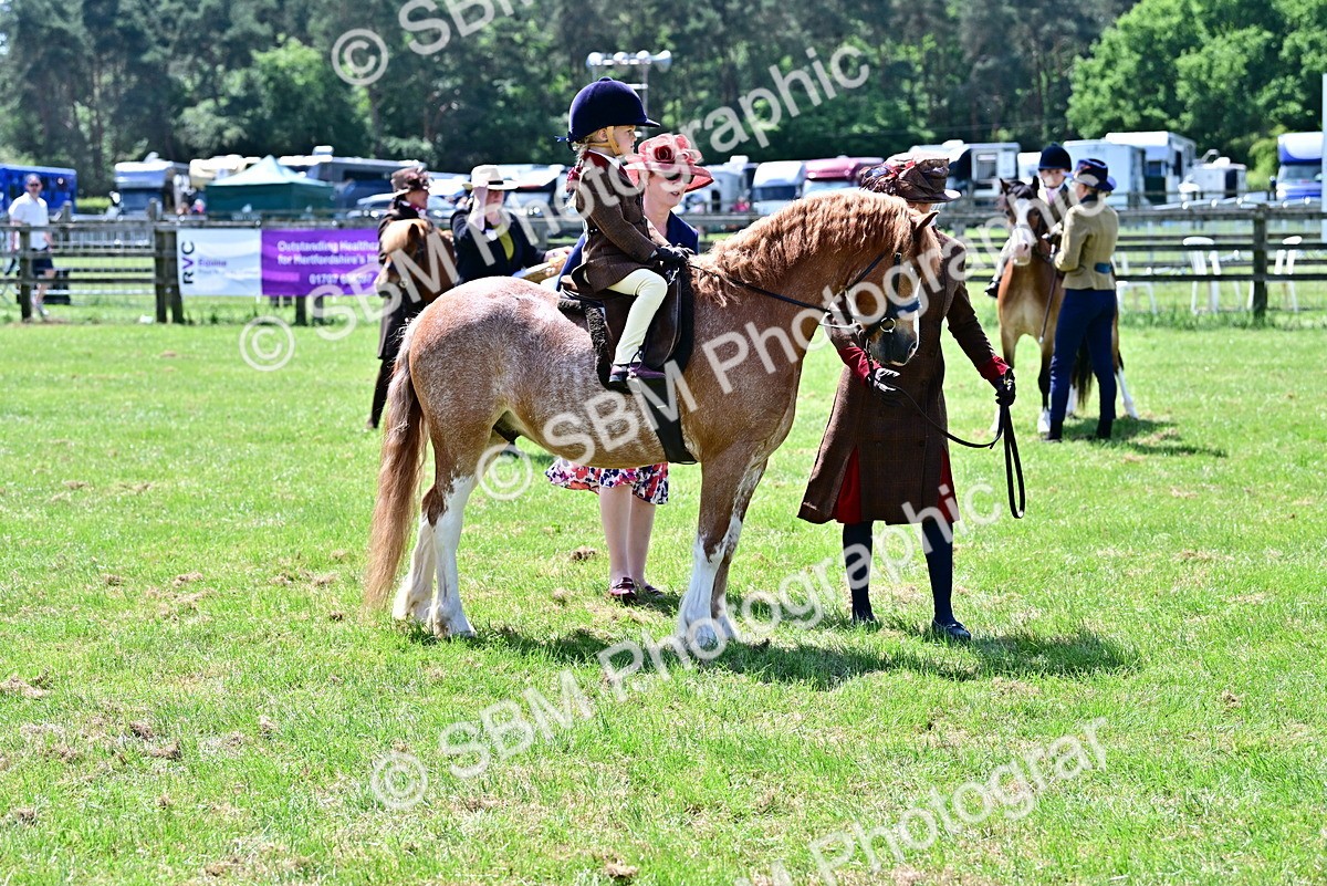 SBM_05844 - Class 59-60 - TSR M&M  Lear Rein and First Ridden Amateur of the year