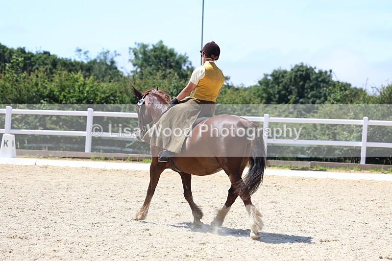 3E7A1742 - Class 5: Unaffiliated Prelim Freestyle to Music