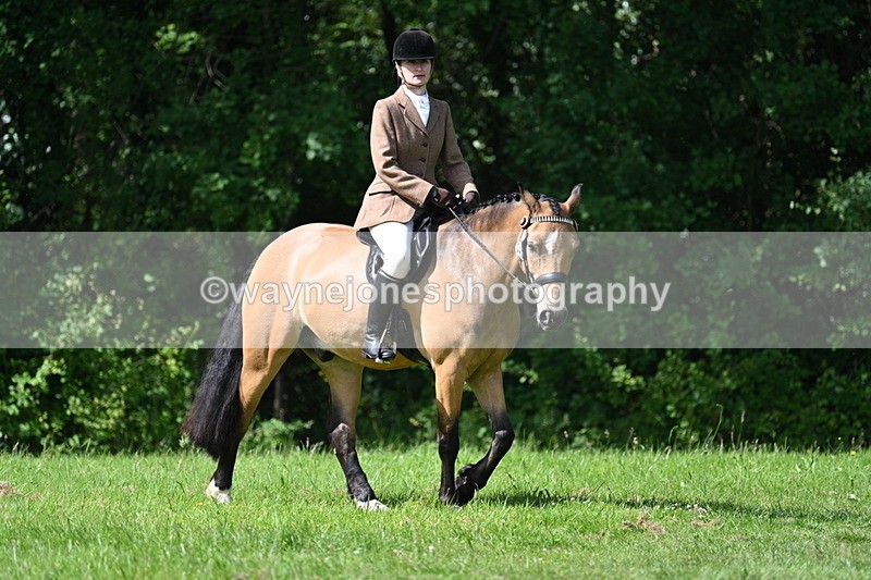 WJ7_1001 - Class 11 Condition & Turnout