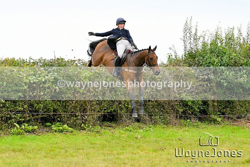 WJ7_4113 - Edited examples