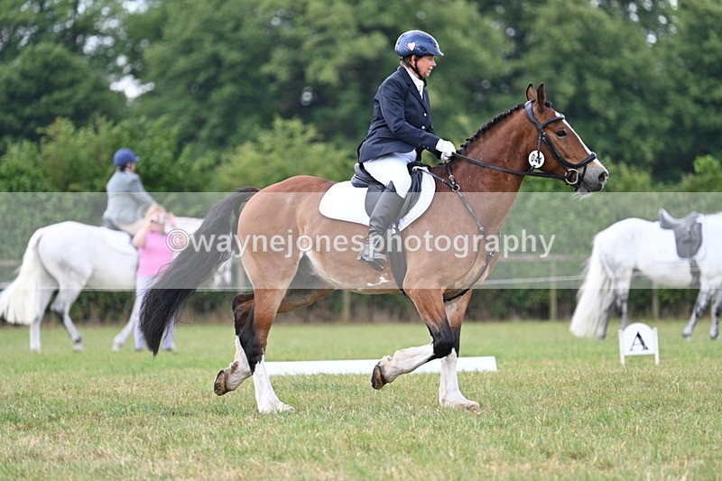 WJ7_4635 - Time 10:59 to 11:17