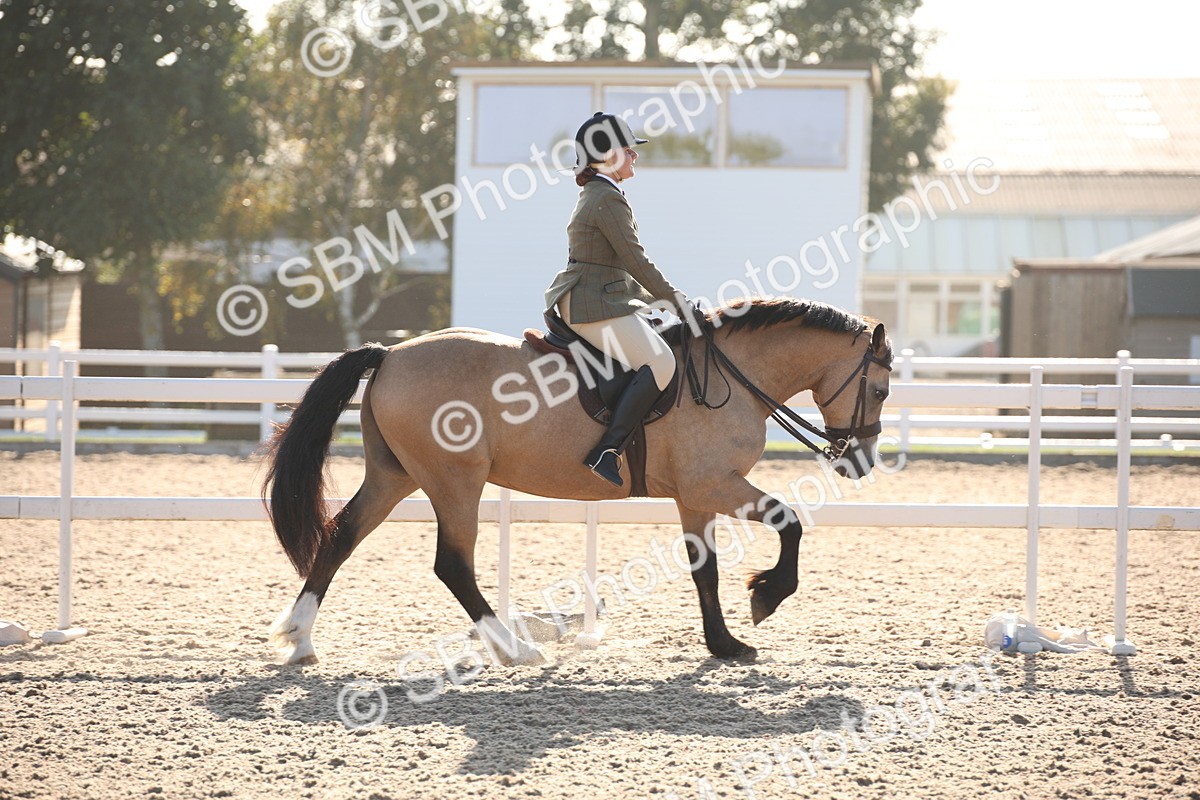 SBM_00629 - Class 14 Ridden M&M Wildcard