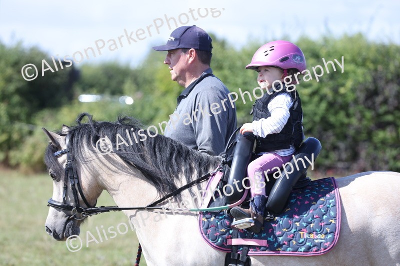 20250831-3115 - Class 24 - Absolute Beginners Pony