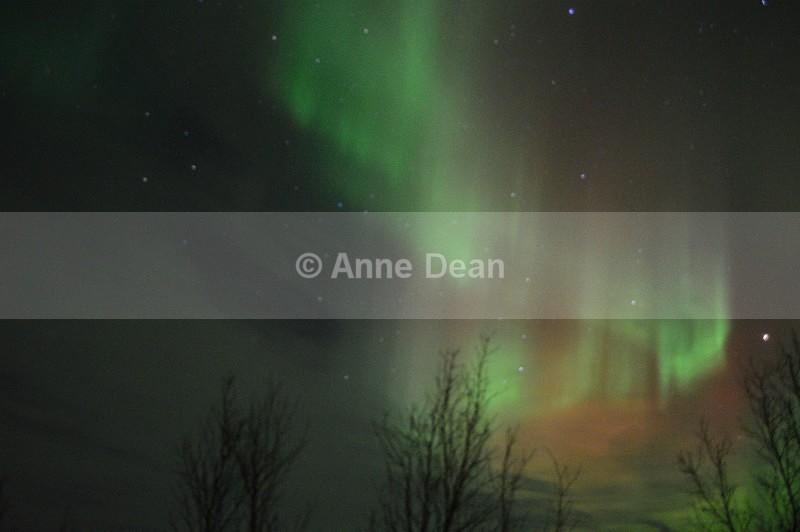 Curtains in the sky.... - Abisko, North Sweden