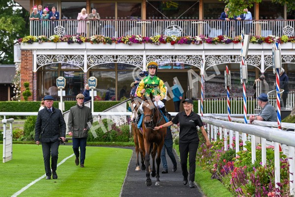 120724-Race 3-Royalty Bay-6010 - Race 3 3.15pm William Hill Keep Your Raceday Positive Irish EBF Fillies' Novice Stakes