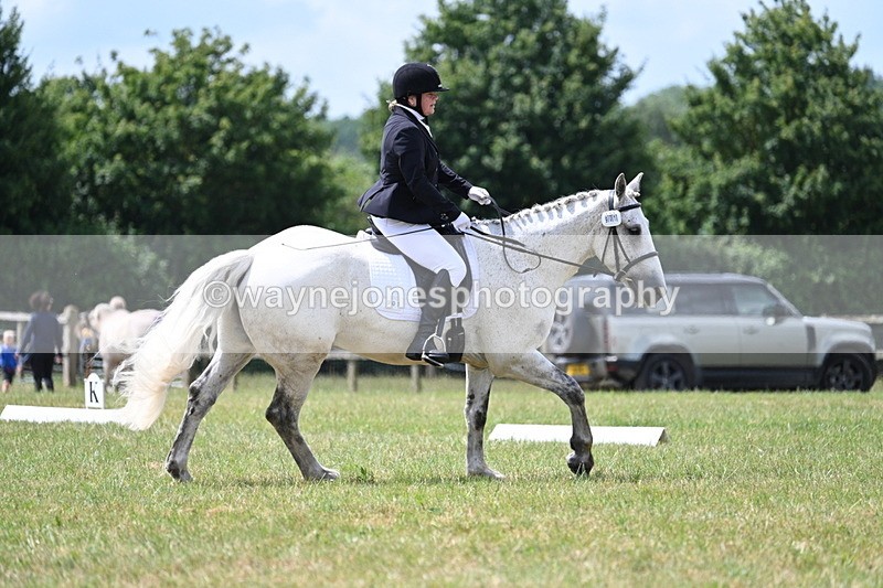 WJ7_4949 - Time 11:22 to 11:51