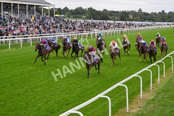 210824-Race 5-Extensio-5402 - Race 5 4.10pm Sky Bet Stayers Handicap