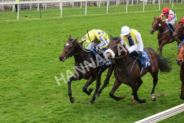 yr09102021r5-20 - Race 5 3.50pm Coral ebfstallions.com Novice Stakes