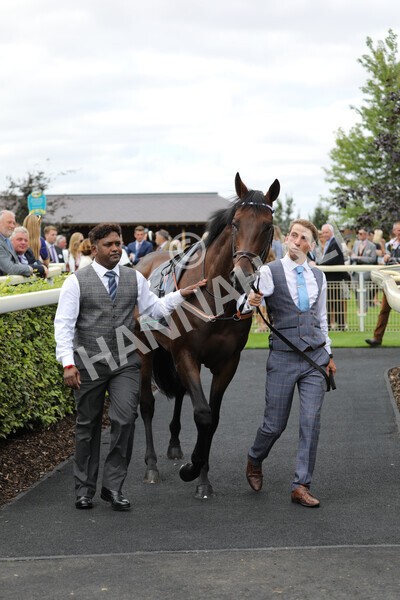 yr17082022r4-5 - Race 4 3.35pm Juddmonte International Stakes (British Champions Series Race)