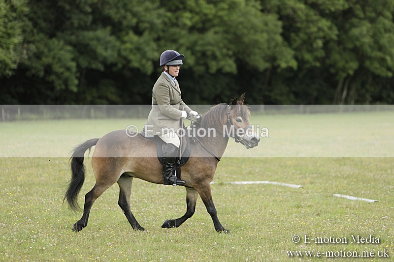 BVR160717-588 - Class 1 & 23a Dressage 16/07/17