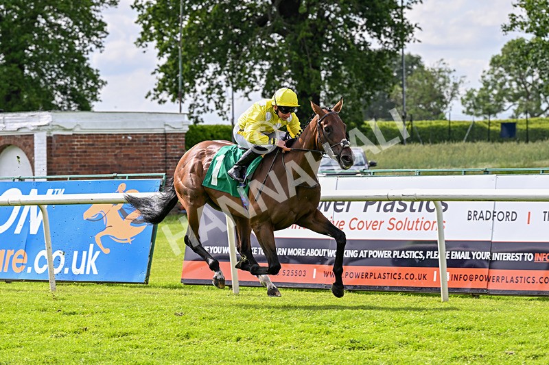 050626-Race 5-King Of Berkshire-3488 - Race 5 16.10pm Ruby Lodge Care Home In Thirsk Handicap
