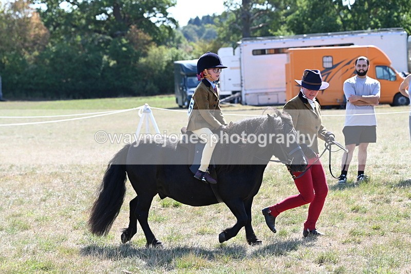 WJ6_7719 - Class 36 Lead Rein