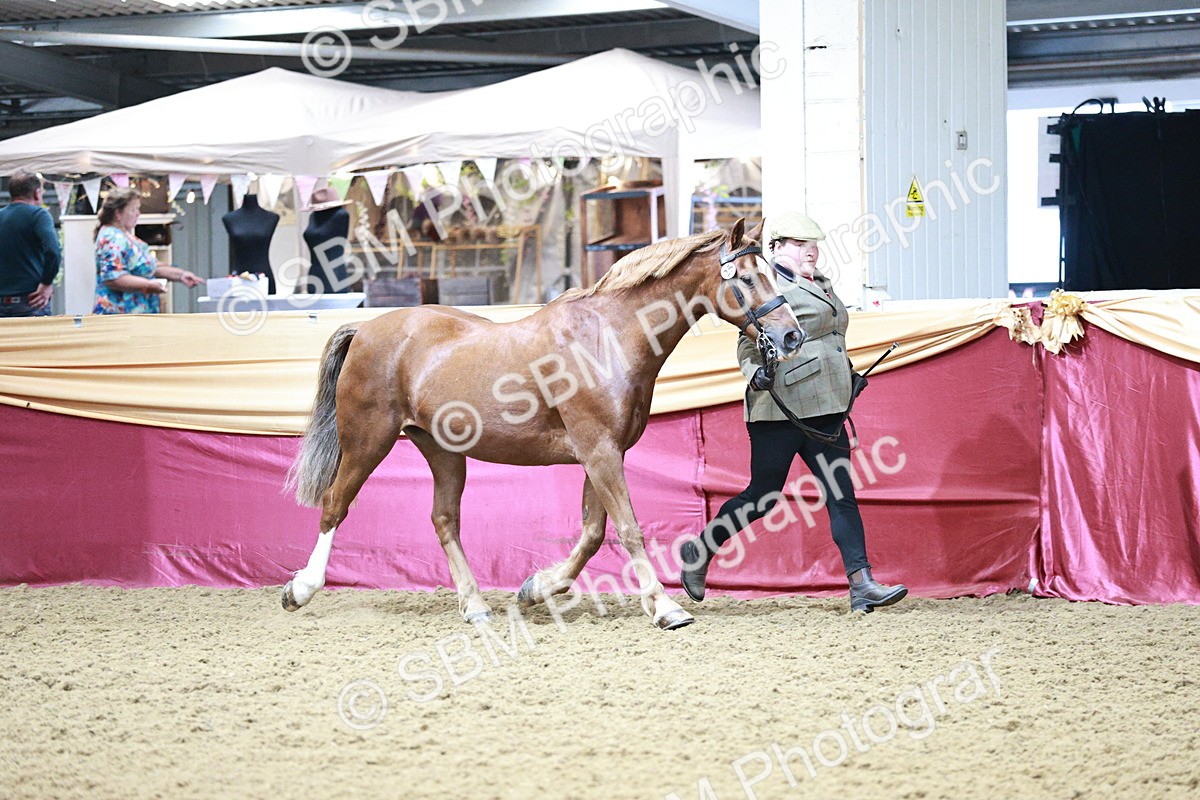 SBM_00194 - Class 1A - Area IH Diamond