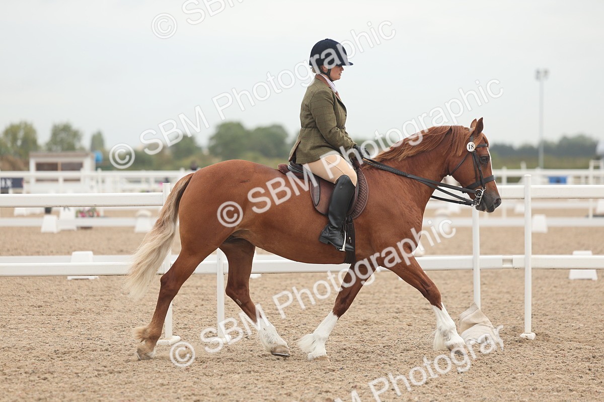 SBM_01864 - Class 14 - Ridden M&M Wildcard