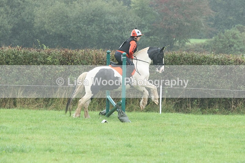 JPP_5126 - Class 1: 65cm : Showjumping