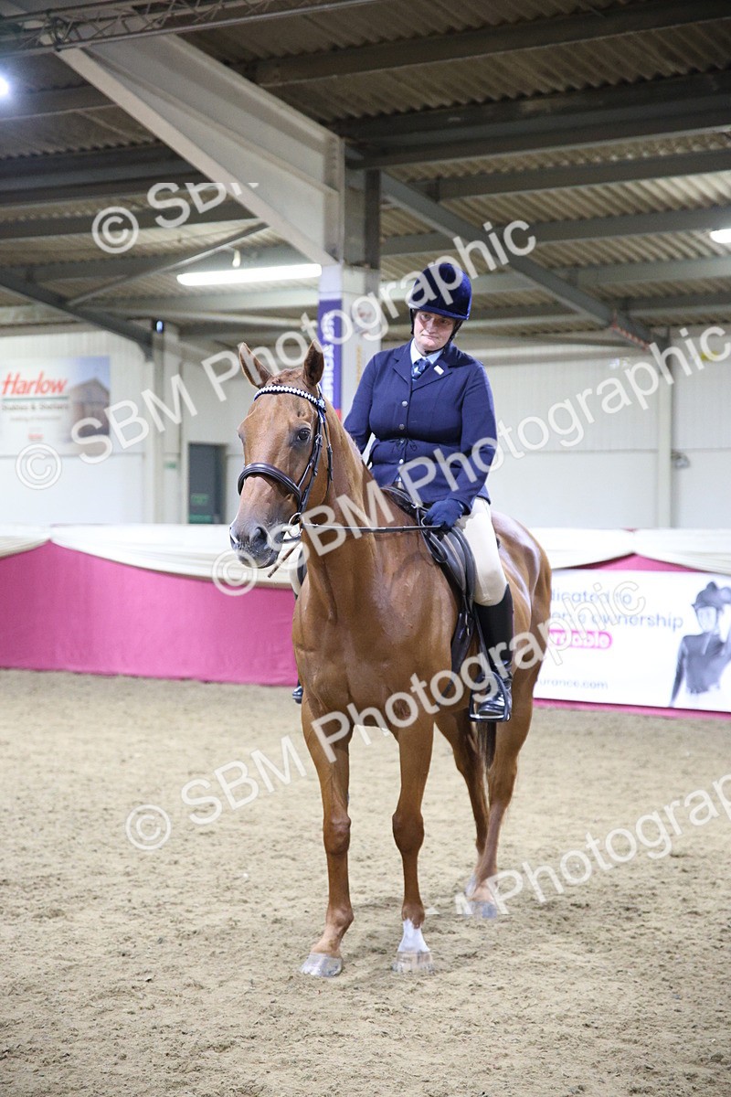 5K7A1512 - Class 108Ridden Retired Racehorse- Final Judging
