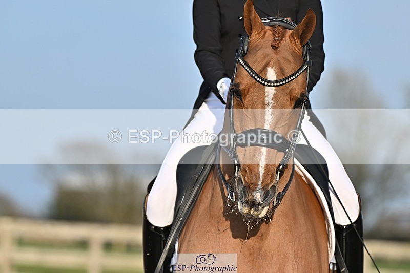 250404-183053-08688 - 150-Nathalie.Wahlund-Cerano.Gold