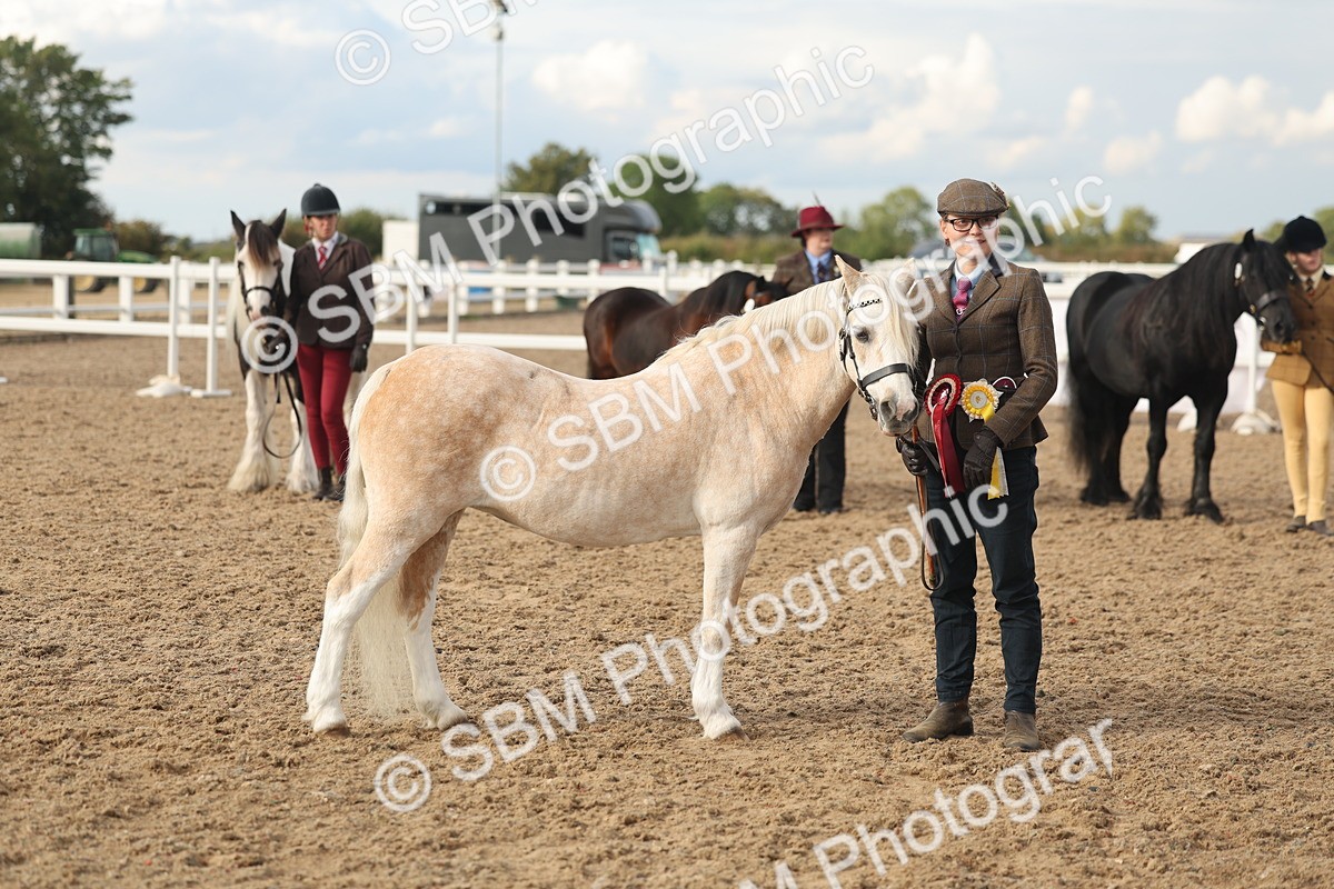 SBM_08582 - Class 29 - IH Veteran Pony