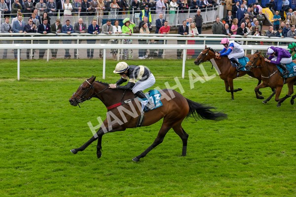 140624-Race 3-Alfa Kellenic-5612 - Race 3 3.00pm British EBF Supporting Racing With Pride Fillies' Handicap