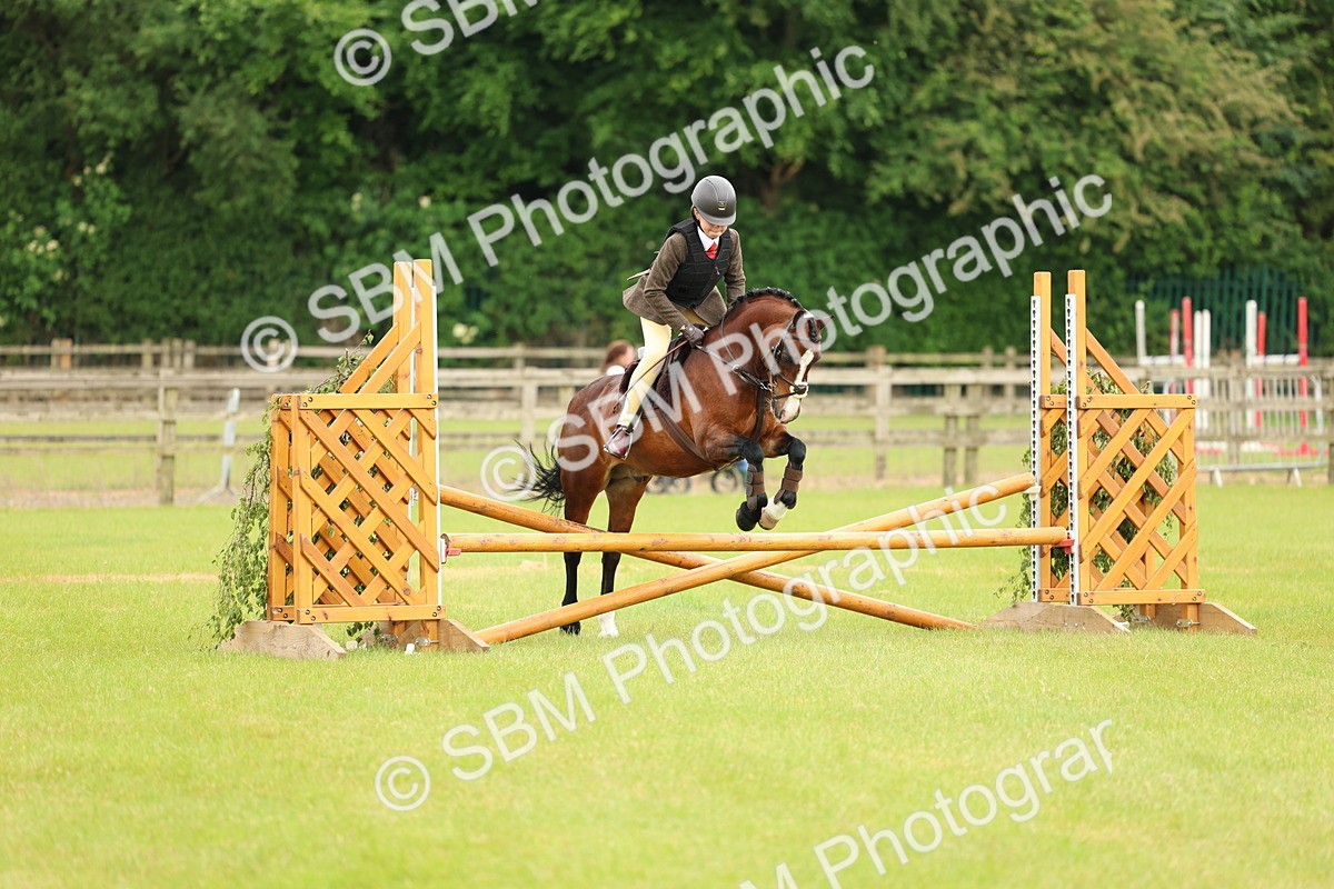 SBM_10294 - Class 44-45 - LIHS BSPS Open Nursery and Cradle Stakes