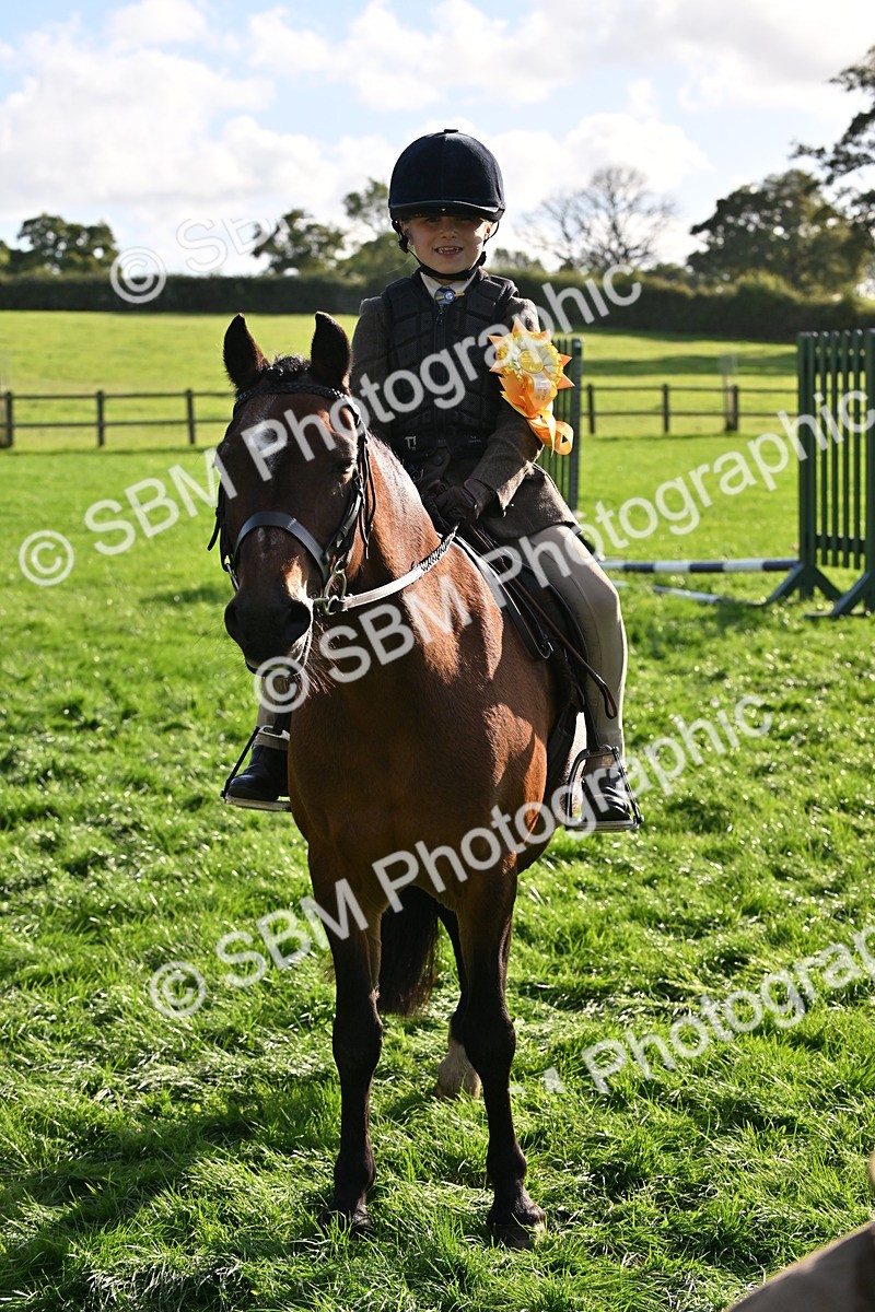 SBM_51290 - S22 - First Ridden show and show Hunter Pony