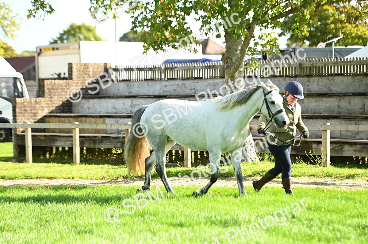 SBM_15852 - S1 - TSR in Hand Horse & Pony Showing