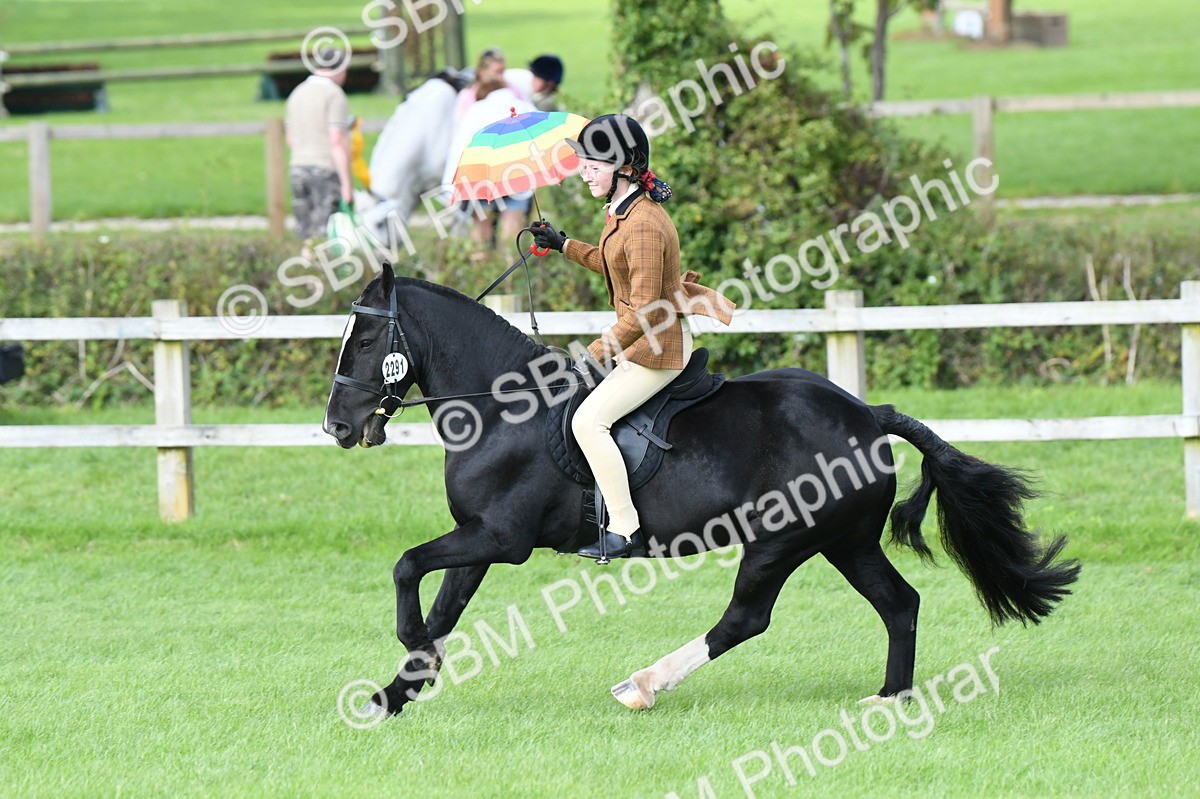 SBM_47071 - S12 - Family Horse & Pony