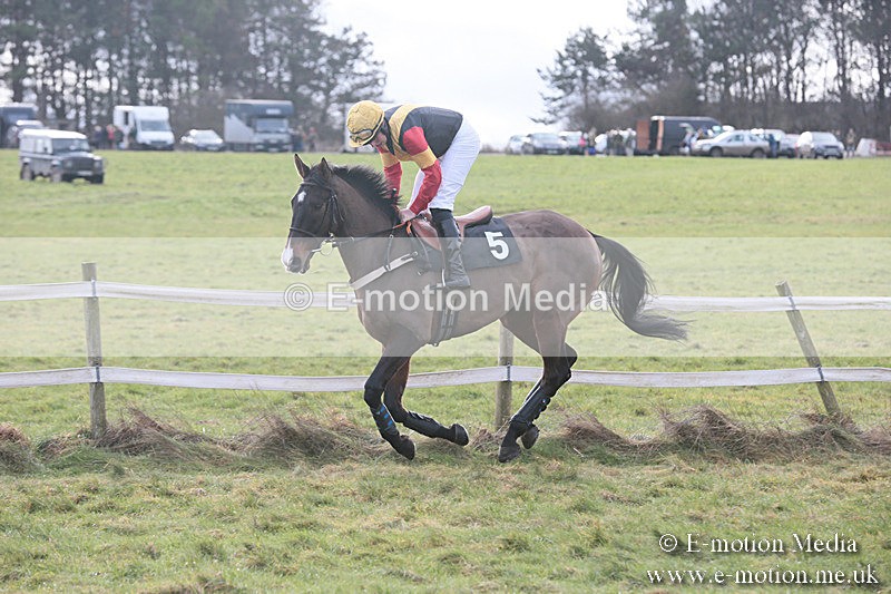 PtP 230119 1 - Royal Artillery Point-to-Point  - Larkhill  - 26/01/19