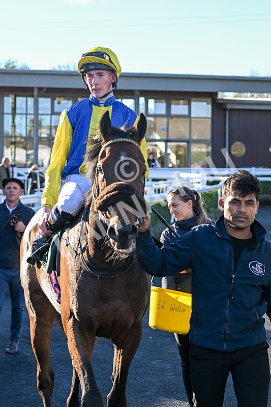 291024-Race 3-Kings Scholar-5971 - Race 3