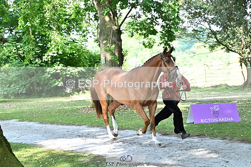 250521A-162250-01098 - C-217-Polly.Kilgour-RENKUM.LADY.VOS