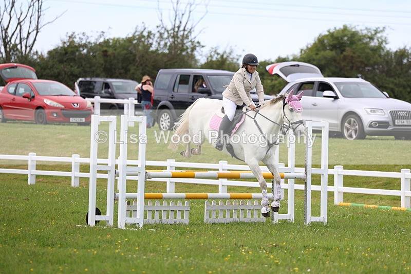 3E7A1762 - Class 13: Senior British Novice/90cm open